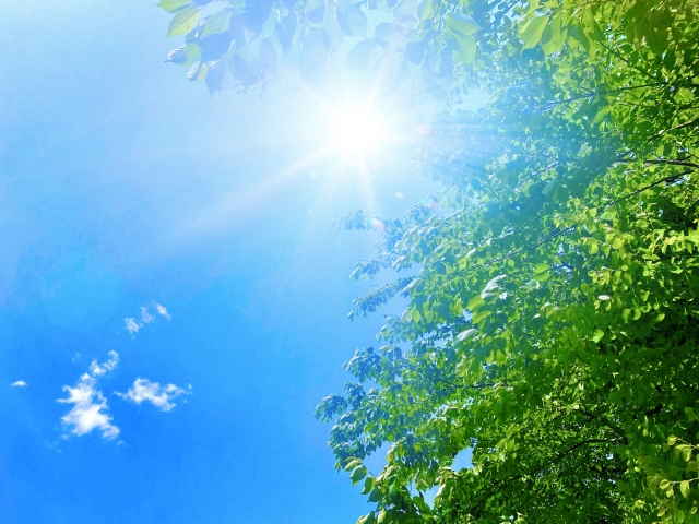 給湯器交換に最適な時期としておすすめなのが、5月から8月にかけての時期です