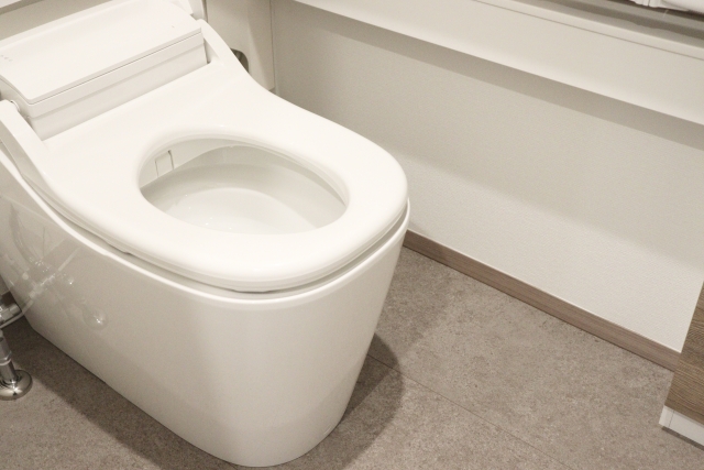 便器の本体