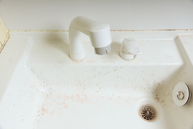 掃除頻度が少ないとどうなる？ 放置によるトラブル事例