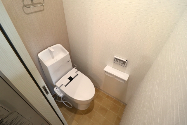 異素材のミックスで深みと個性を出したトイレ