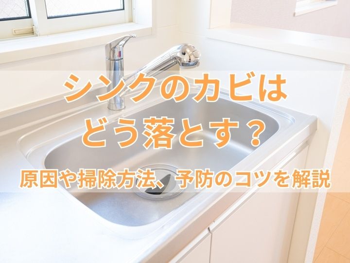 シンクのカビはどう落とす？原因や掃除方法、予防のコツを解説